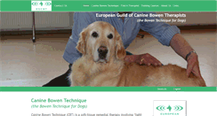 Desktop Screenshot of caninebowentechnique.com